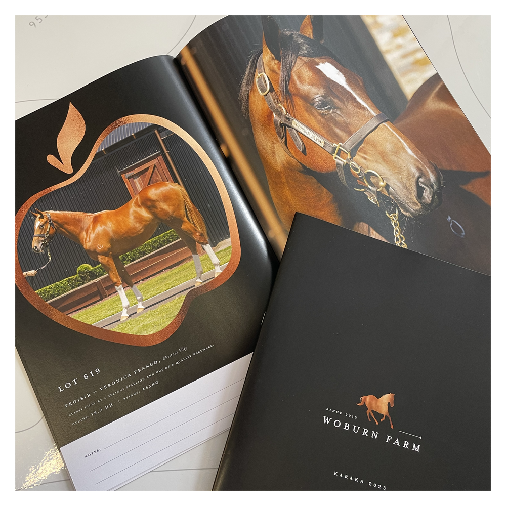 Equine Branding and Promotional Material