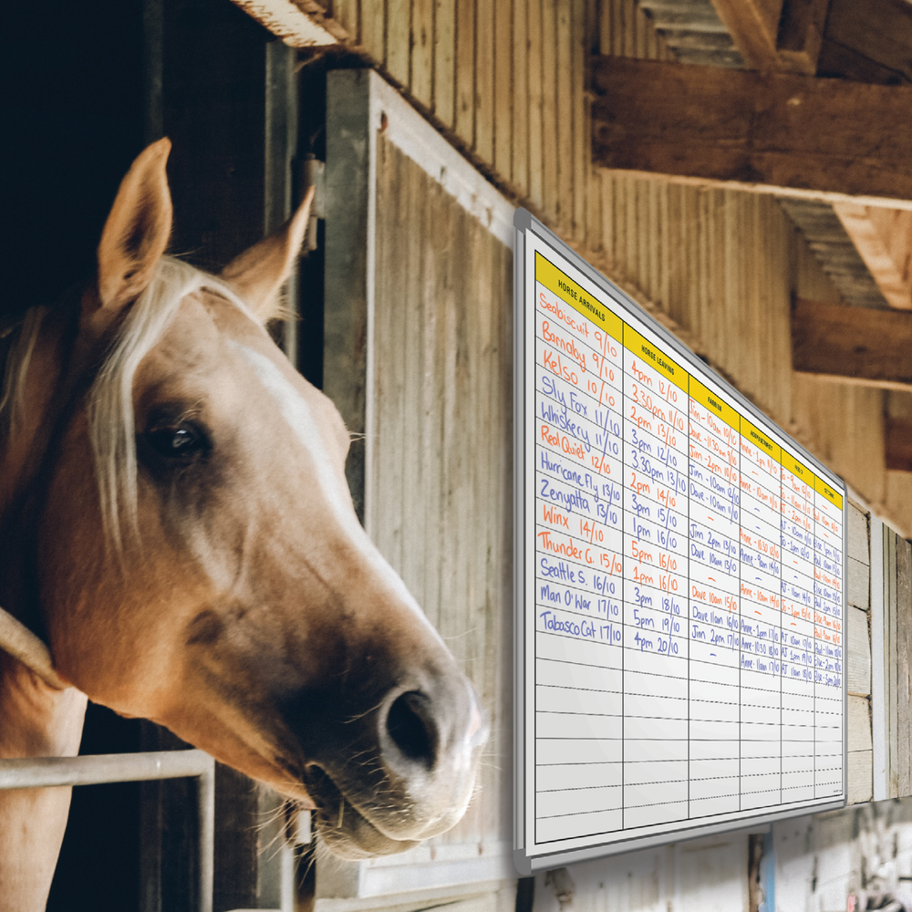 Equine Treatment Whiteboard #5