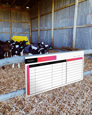 
                  
                    The calf rearing portable Whiteboard - Pack of four
                  
                